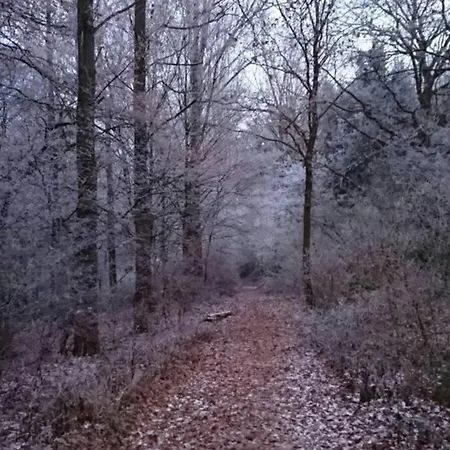 Apartment Am Traetzhof Fulda