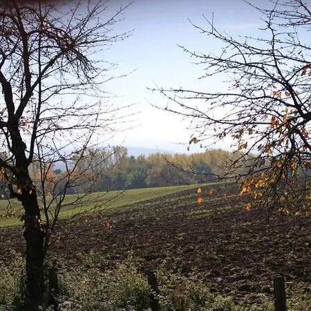 Apartment Am Traetzhof