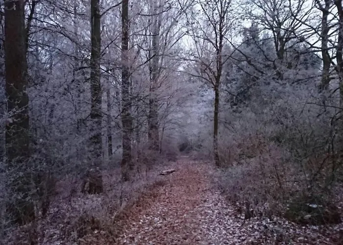 Appartement Am Traetzhof Fulde