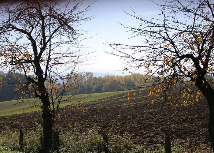 Appartement Am Traetzhof
